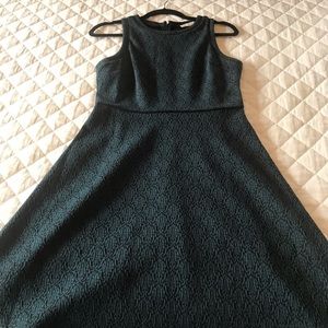Ann Taylor Loft Dress